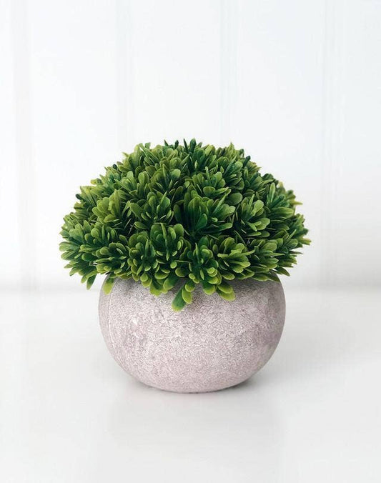 Tray Decor - Stone Pot & Foliage